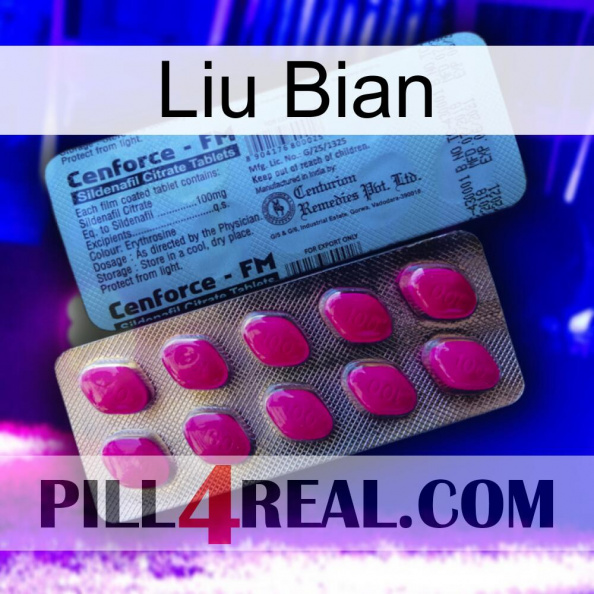 Liu Bian 35